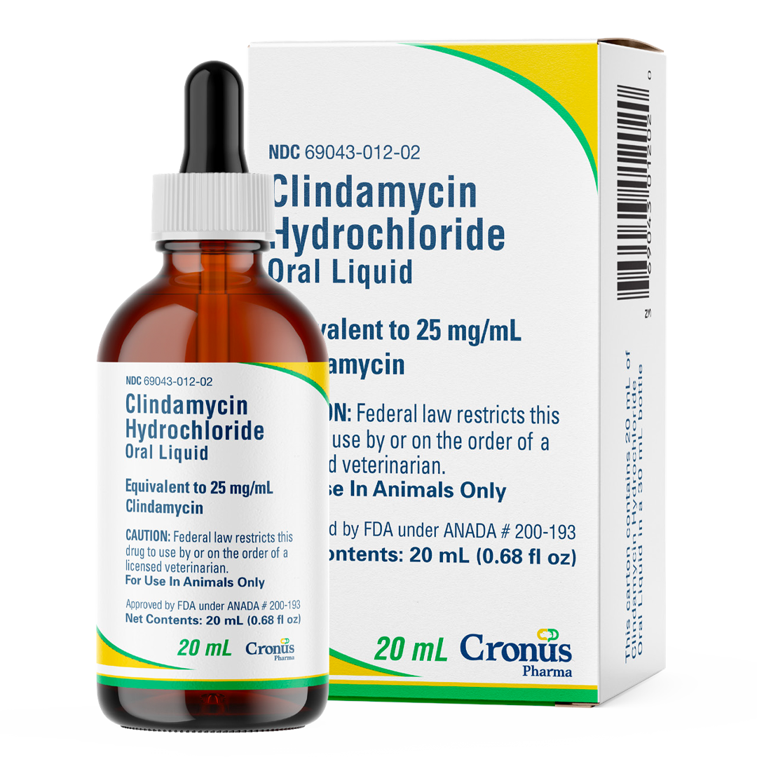 what is clindamycin for dogs used for